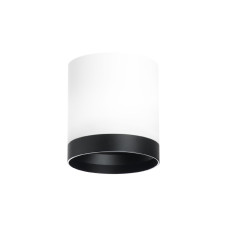 Накладной светильник Lightstar Rullo (213486+203487) R34863487