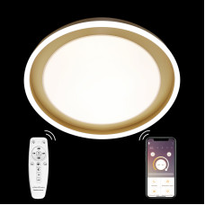 Потолочная люстра Natali Kovaltseva LED LAMPS 81301