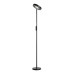 Торшер Lussole Carmel LSP-0901-SE
