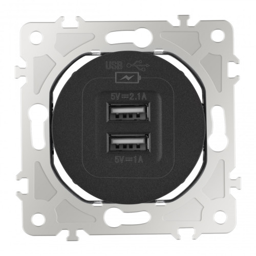Розетка USB 2.1А+1А Arte Milano 202.46-1.black