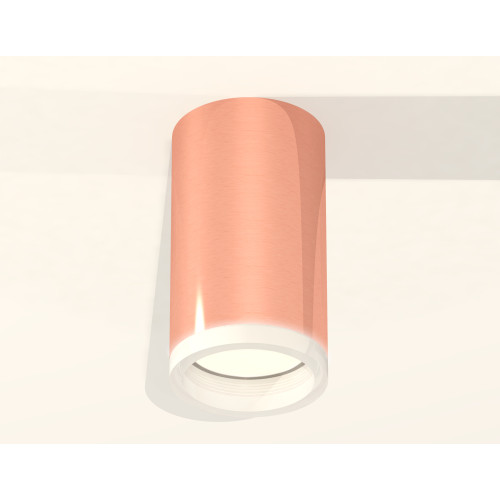 Потолочный светильник Ambrella Light Techno Spot XS6326020 (C6326, N6245)