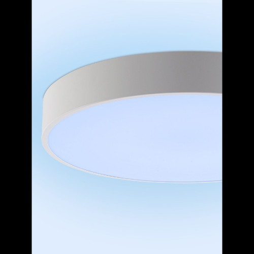 Потолочный светильник Natali Kovaltseva Modern LED LAMPS 81105/2C