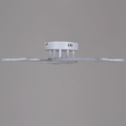 Потолочный светильник Reluce 01150-0.3-03 WH Потолочный светильник Reluce 01150-0.3-03 WH