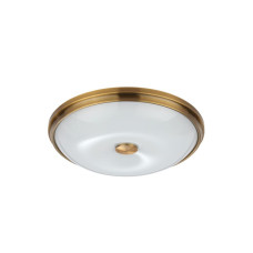 Настенно-потолочный светильник Odeon Light Pelow 4956/4
