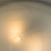 Потолочный светильник Arte Lamp Symphony A3440PL-2CC