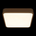 Потолочный светильник Loft IT Flims 10228/C