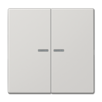 Клавиша 2-ная с 2-мя линзами Jung LS990 LS995KO5LG