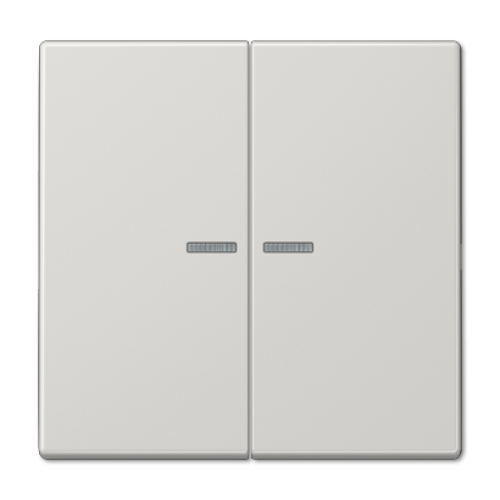 Клавиша 2-ная с 2-мя линзами Jung LS990 LS995KO5LG