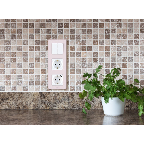 Выключатель двухклавишный Legrand Inspiria 673620