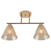 Потолочный светильник Seven Fires Fabius SF3391/2C-FGD-CL