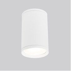 Уличный потолочный светильник Elektrostandard Light 4690389175893