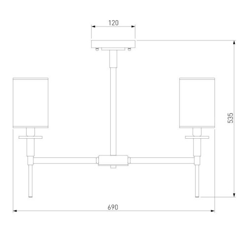 Люстра на штанге Eurosvet Brielle 60132/6 хром
