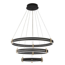 Подвесная люстра Zortes Duble-R ZRS.30515.228