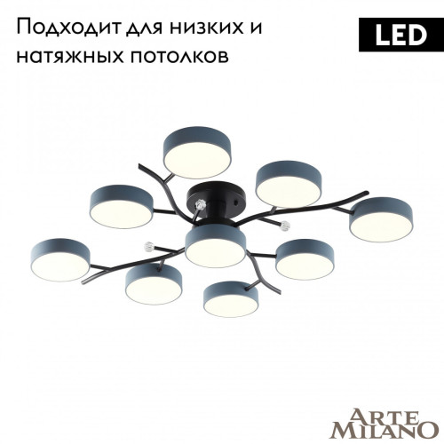 Потолочная люстра Arte Milano Ferrara 256606/8+1 Bk/Gr