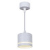 Подвесной светильник Reluce 53002-0.9-001LD GX53 WT
