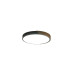 Потолочный светильник Zortes Alberro ZRS.01280.48