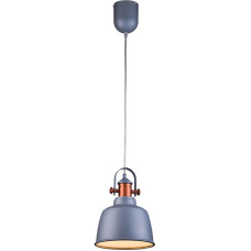 Подвесной светильник Lucia Tucci Industrial 1820.1 Sand Silver