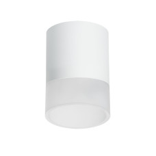 Накладной светильник Lightstar Rullo (213486+202481) R348681