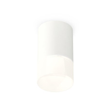 Потолочный светильник Ambrella Light Techno Spot XS7421025 (C7421, N7170)