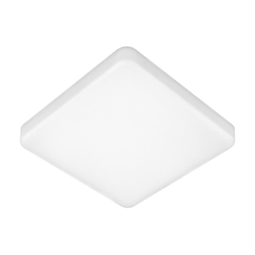 Потолочный светильник Elektrostandard DLS043 10W 4200K a047941