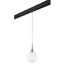 Трековый светильник Lightstar Globo PRO813031 (813031+595007)