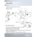 Люстра на штанге Seven Fires Aivor SF3364/6C-BK-FGD-AM