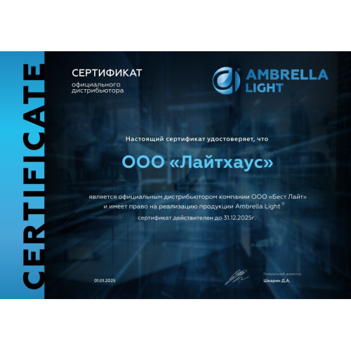 Потолочная люстра Ambrella Light Modern TR303307