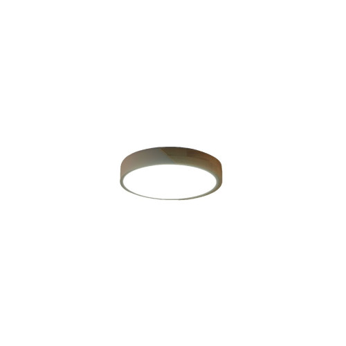 Потолочный светильник Zortes Alberro ZRS.01239.90
