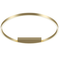 Потолочная люстра Maytoni Rim MOD058CL-L50BSK