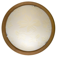 Настенно-потолочный светодиодный светильник Toplight Jane TL9640Y-00OA