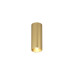 Накладной светильник Denkirs Shine tube DK2615-SB