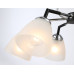 Потолочная люстра Ambrella Light Modern TR303294