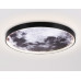 Настенно-потолочный светильник Ambrella Light Wall FW11114