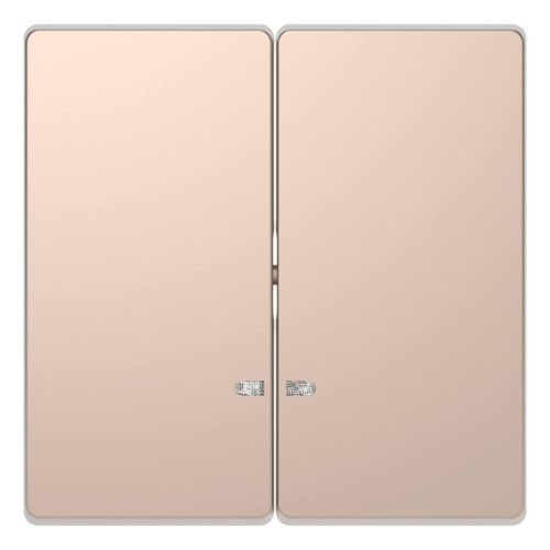 Клавиша двойная Schneider Electric Merten D-Life MTN3420-6051