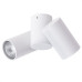 Накладной светильник ARTE Lamp A1511PL-2WH