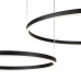 Подвесная люстра Indigo Galass 14001/2P Black V000030L