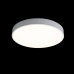 Потолочный светильник Loft IT AXEL 10002/24 White