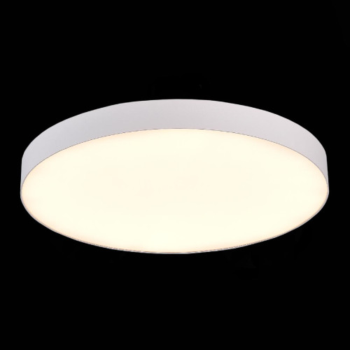 Потолочный светильник ST Luce ST606.532.96