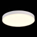 Потолочный светильник ST Luce ST606.532.96