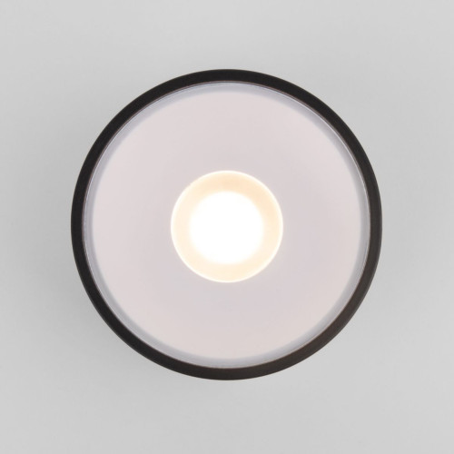 Уличный потолочный светильник Elektrostandard Light LED 4690389180156