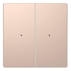 Клавиша двойная Schneider Electric Merten D-Life MTN5220-6051
