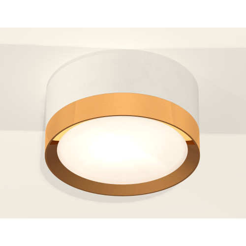 Потолочный светильник Ambrella Light Techno Spot XS8101005 (C8101, N8124)