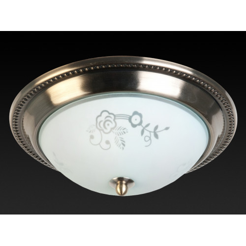 Накладной светильник Toplight Molly TL5020Y-02AB