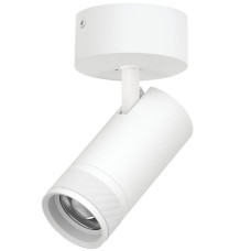 Накладной светильник 20-55G с адаптером Lightstar Canno Pro C4306SO
