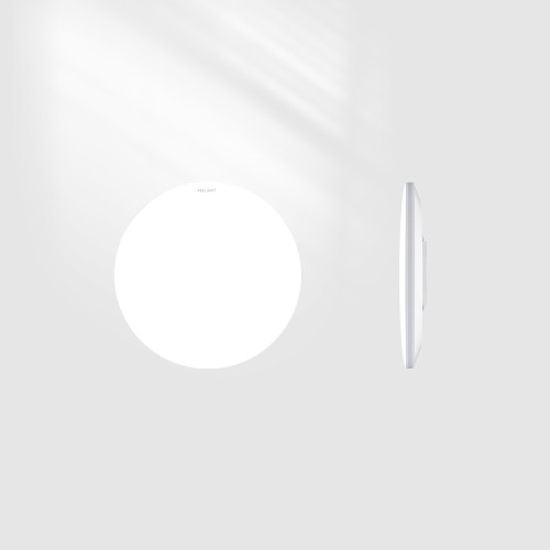 Потолочный светильник Yeelight Porch Ceiling Light C320/YLXDD-0153