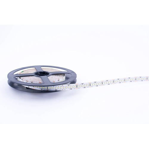 Светодиодная лента SWG SWG4240-12-24-W-M 009255