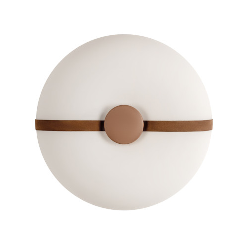Потолочный светильник LOFT IT Bolina 10473