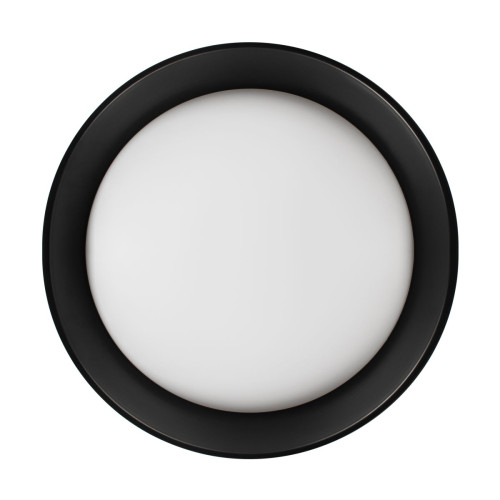 Потолочный светильник Loft IT Coin 10202 BB