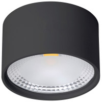Накладной светильник Wertmark WTA.O02.607.V0.12