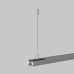 Тросовый подвес Maytoni Basity TRA172SW-R-1B